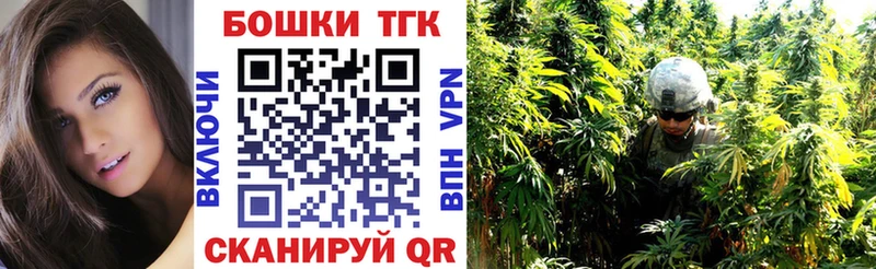 Бошки Шишки гибрид  Купить закладки  Дзержинск 